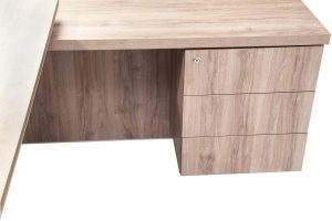 01.2.- ESCRITORIO GERENCIAL CEO